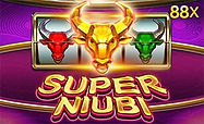 Super-Niubi